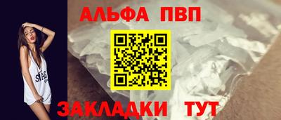 амф Кингисепп