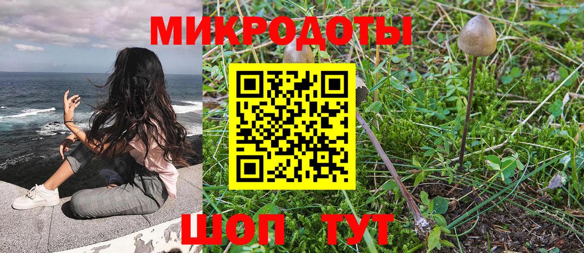 Галлюциногенные грибы Psilocybe Кропоткин